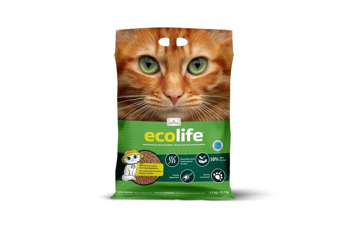 Intersand Ecolife Natural Clumping Litter (5.5 kg)
