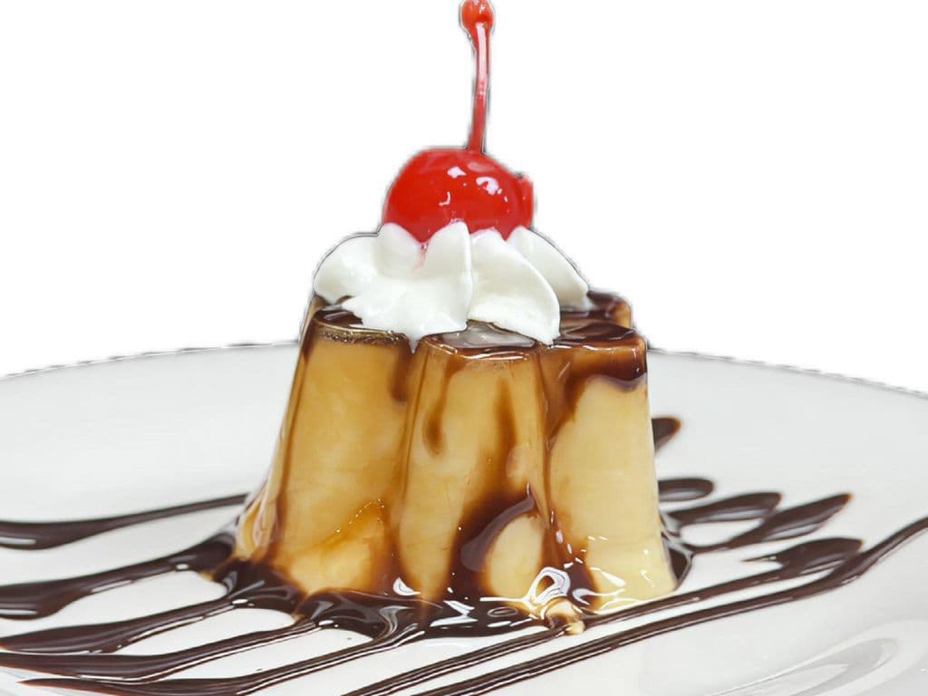 Japanese Creamy Pudding-New