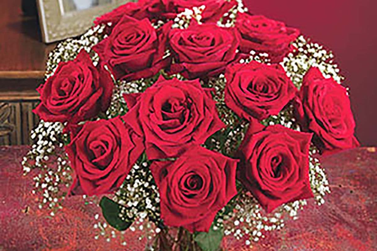 Eternity Long Stem Red Roses