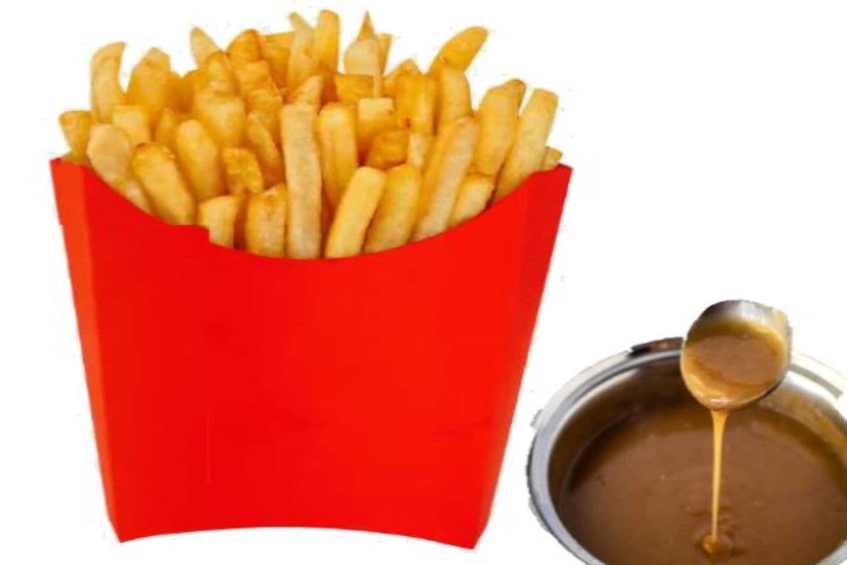 French Fries with Gravy