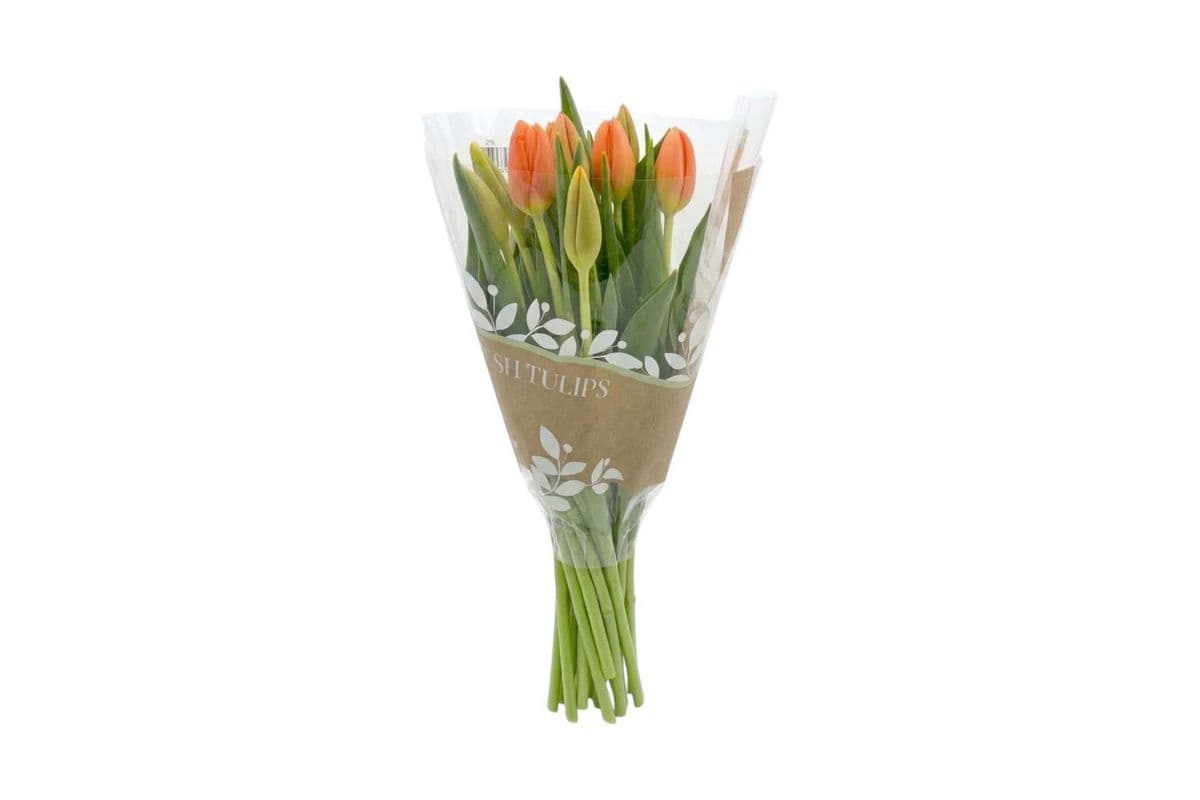 Orange Tulips - 10 Stems