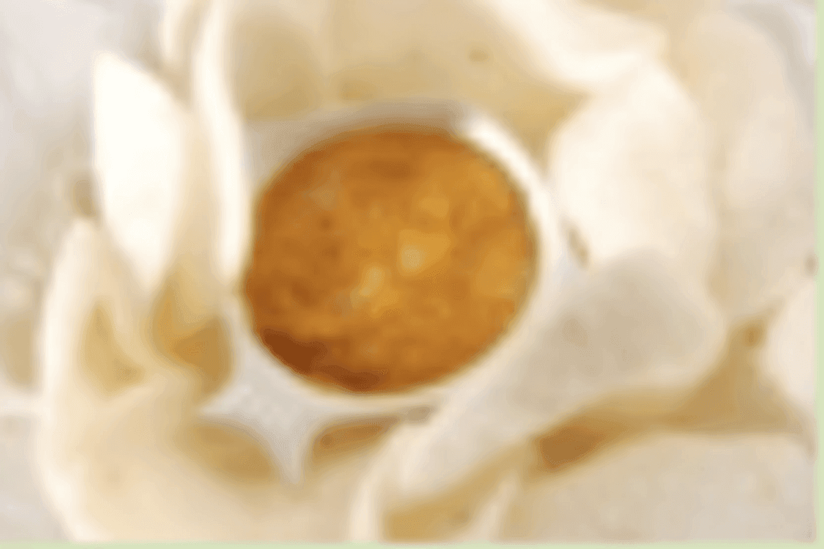 8. Shrimp Chips
