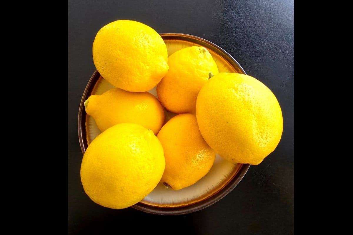 Hand Squeezed Lemonade