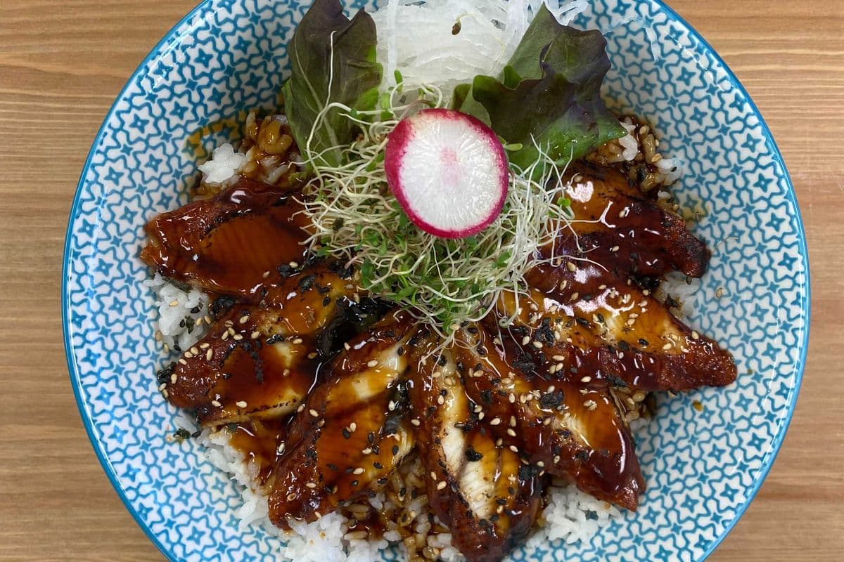 Unagi Donburi
