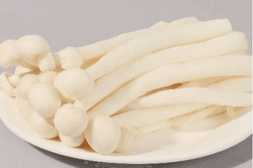 Champignon de Fruits de Mer / Seafood Mushroom / 海鲜菇