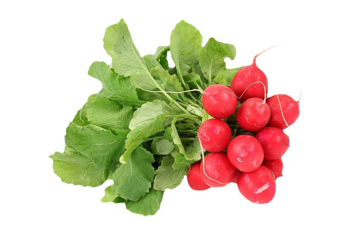 Radish Bunch (EA)