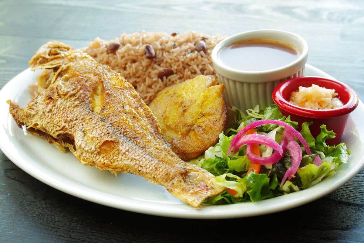 Poisson rouge / Red Fish