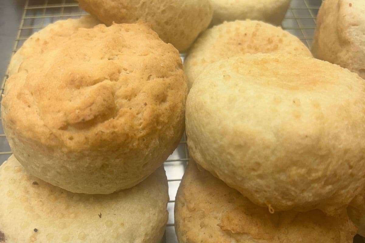GF & DF Buns (Packs of 4)
