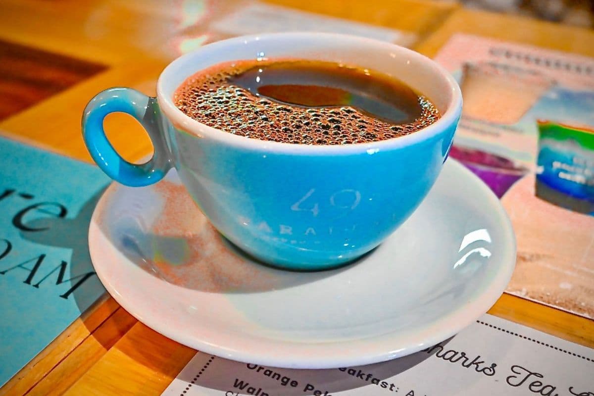 Drip Coffee - 16 oz