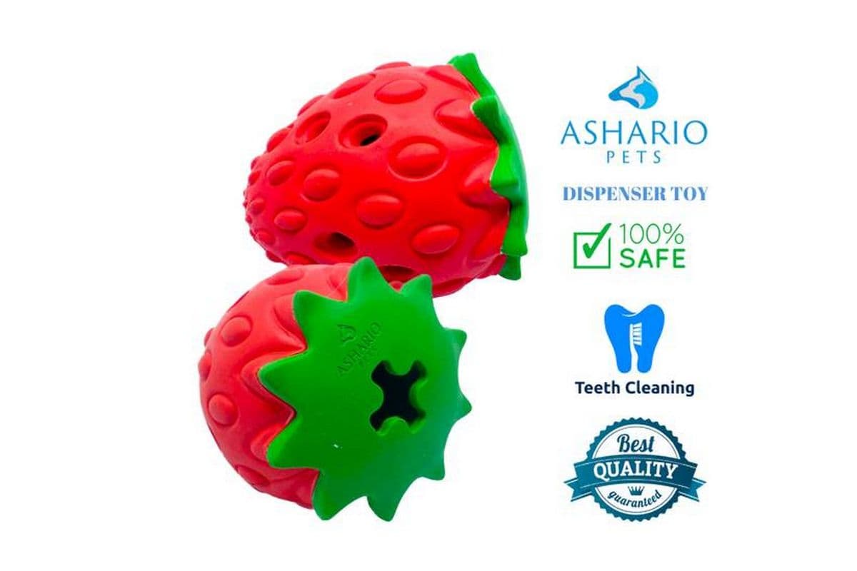 Ashario Pets - Dispenser Dog Toy - Strawberry
