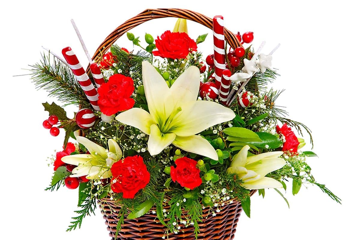 Treasure - Candy Cane Basket