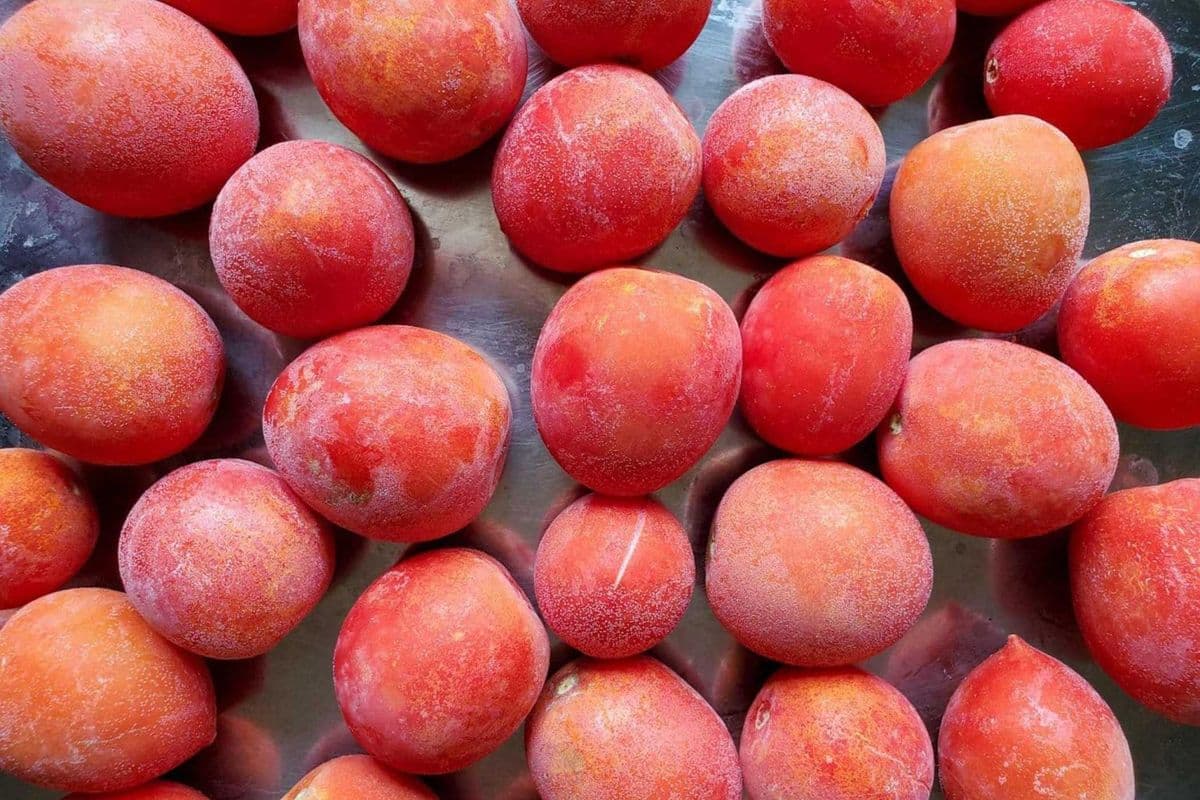 Frozen Vine Stew Tomatoes – Half Box (7.5 lb)
