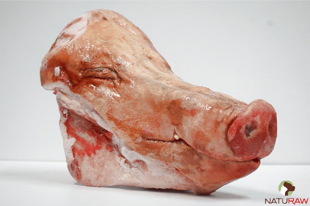 Pig Head (1 piece)