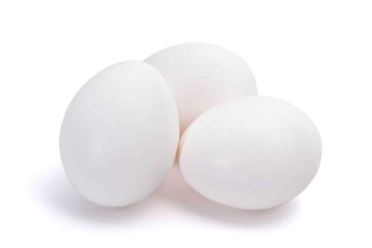 Oeufs Blanc/White Eggs