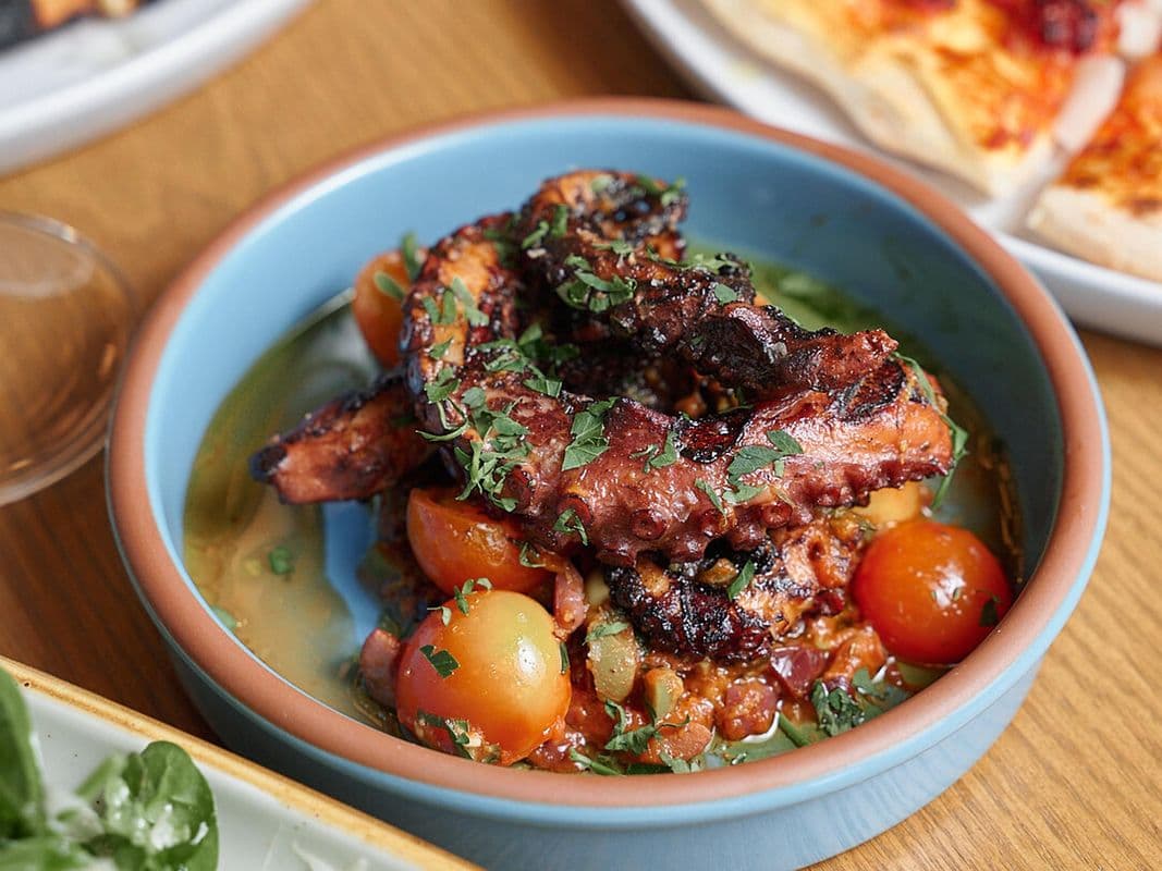 Grilled Octopus