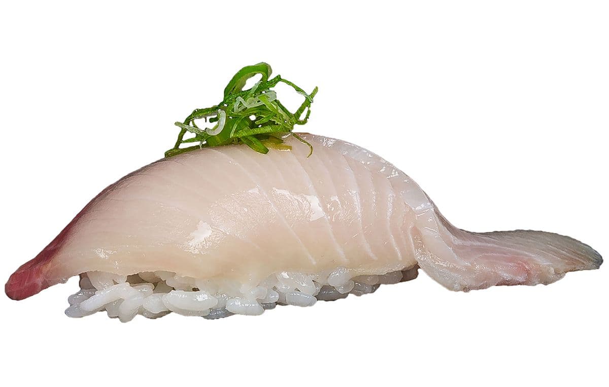 Hamachi (Yellowtail)