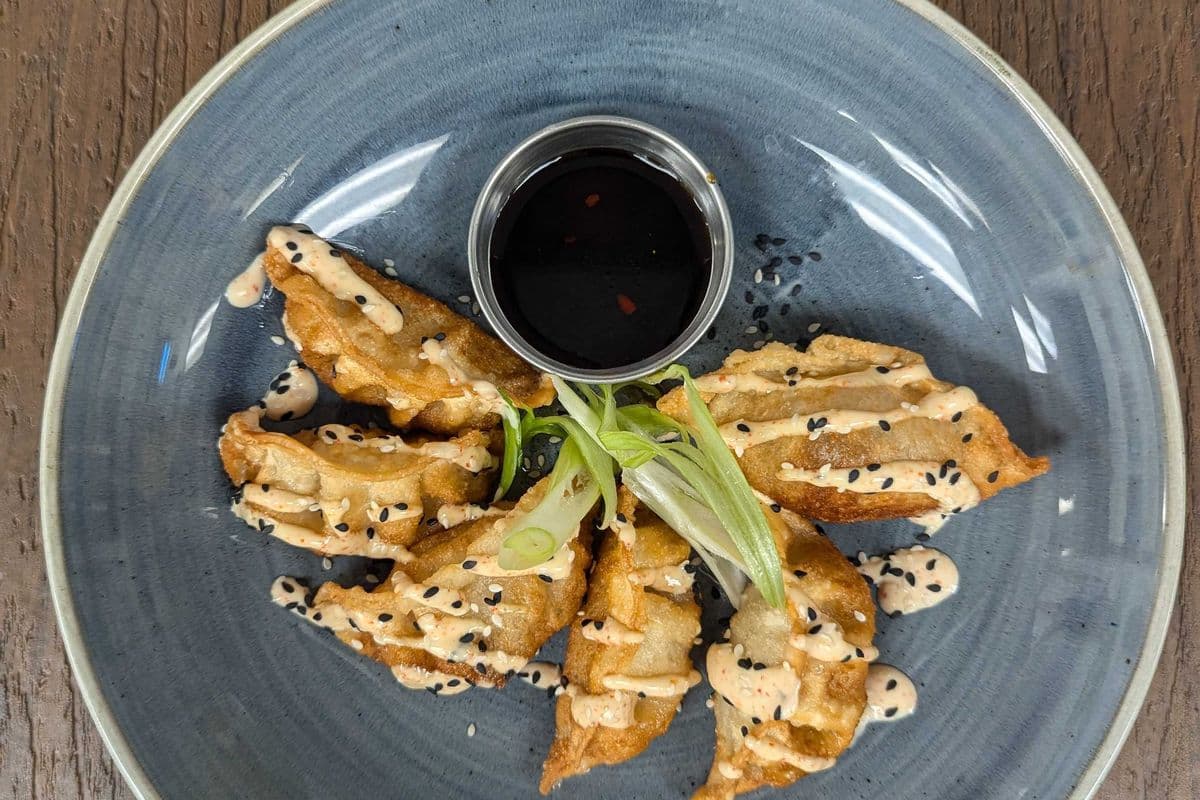 Chicken Gyoza