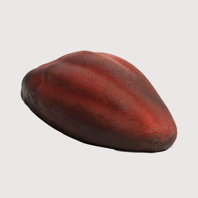 Trompe l'oeil Cabosse Cacao / Cocoa Pod Trompe l'oeil