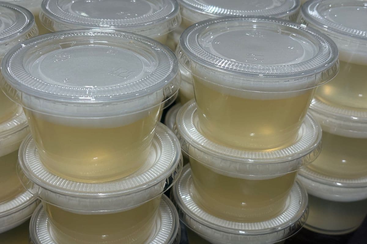 Coconut Jelly (4oz)