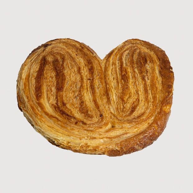 Palmier / Palm