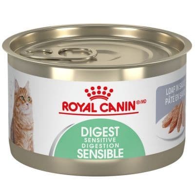 Royal Canin Feline Care Nutrition Digestive Sensitive Loaf in Sauce Cat 5.5 oz