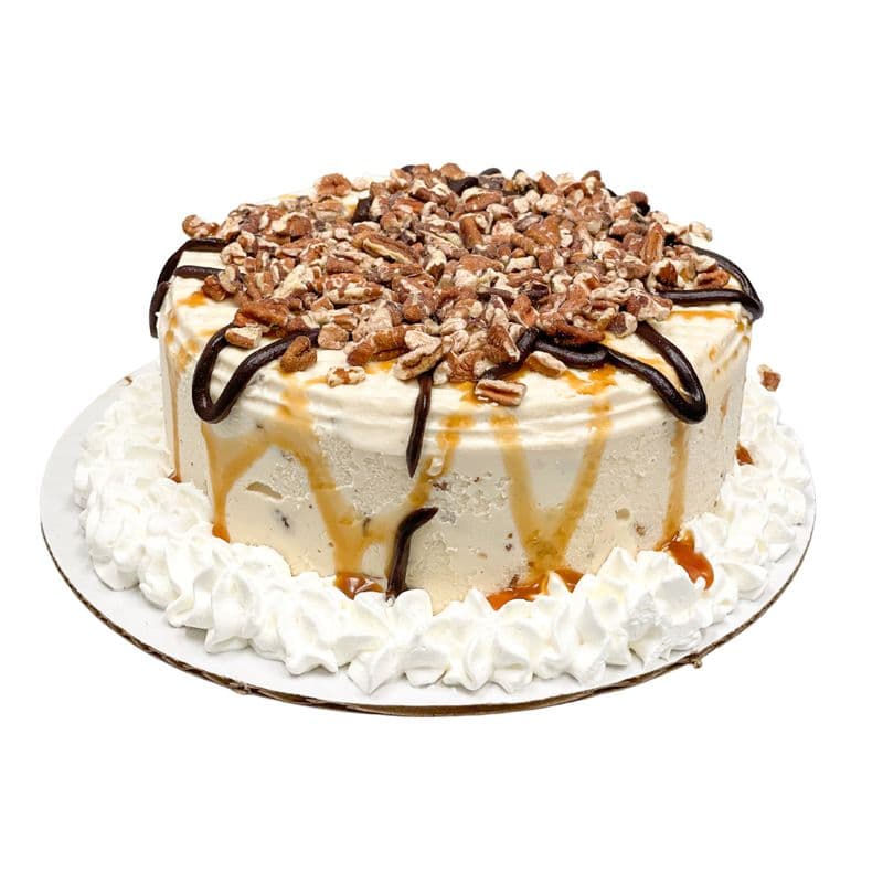Small Turtle Ice Cream Cake
