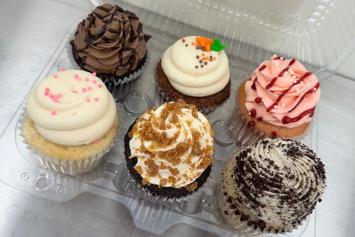 Fresh Cupcake : Option 2 (6 packs)