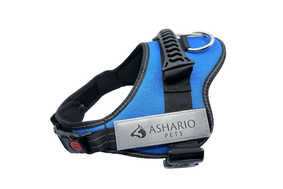 Ashario Pets "TactiHarness" Reflective No Pull Design Harness Blue Medium