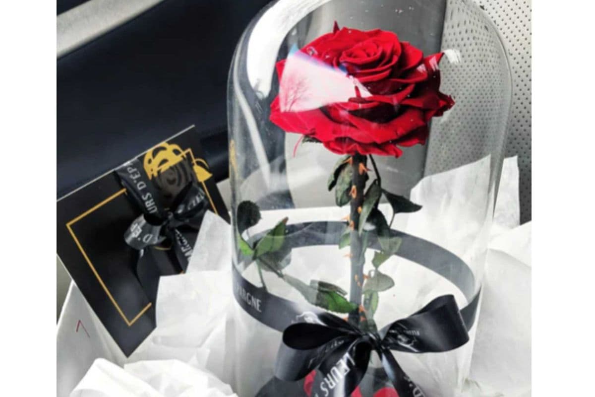 Enternity Rose Enchanted Glass Dome (15x30 cm)