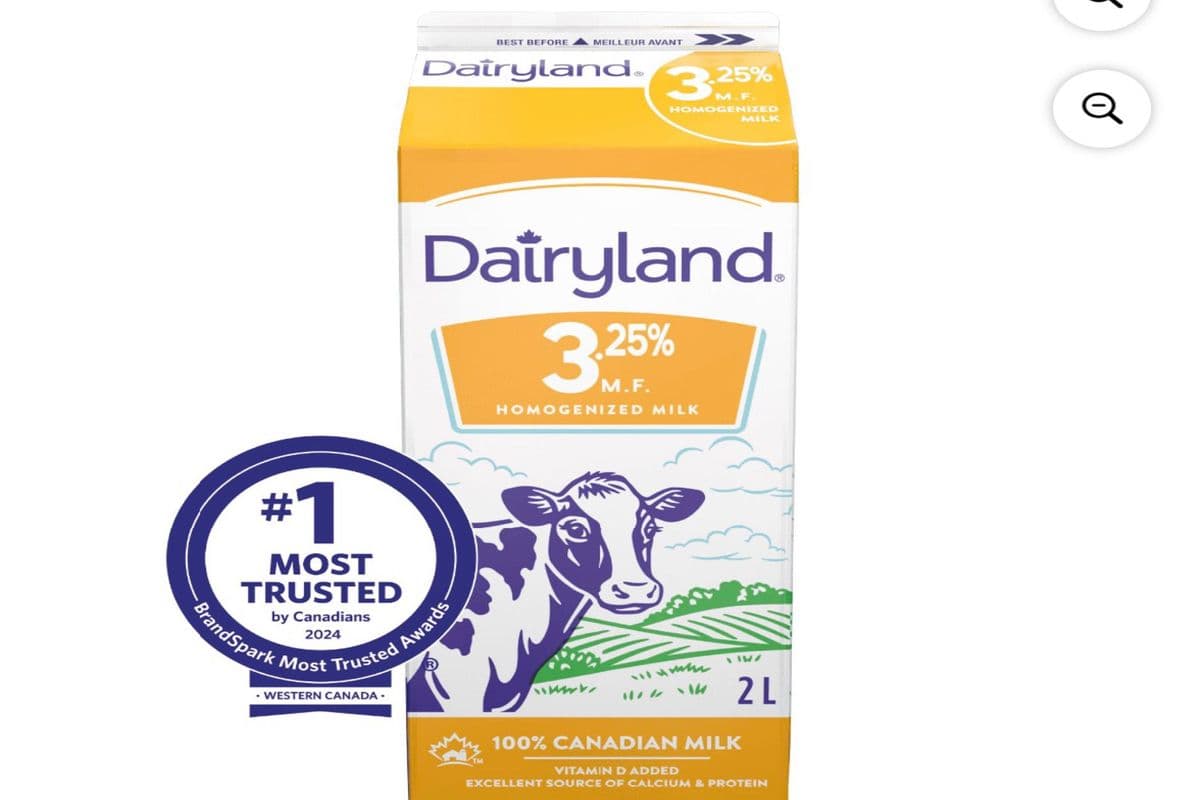 Dairyland (3.25%) Homogenized Milk Bottle (1L)