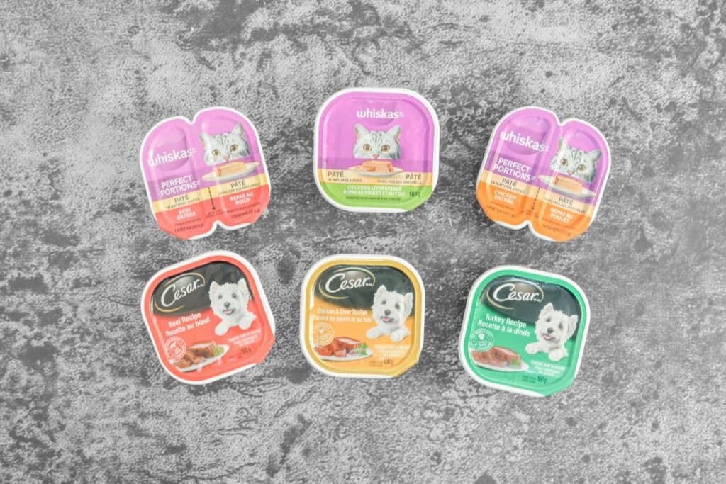 Cesar Wet Dog Food (100g)