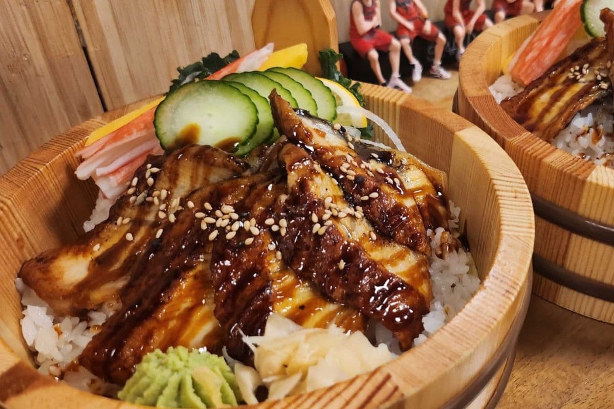 Unagi Donbury