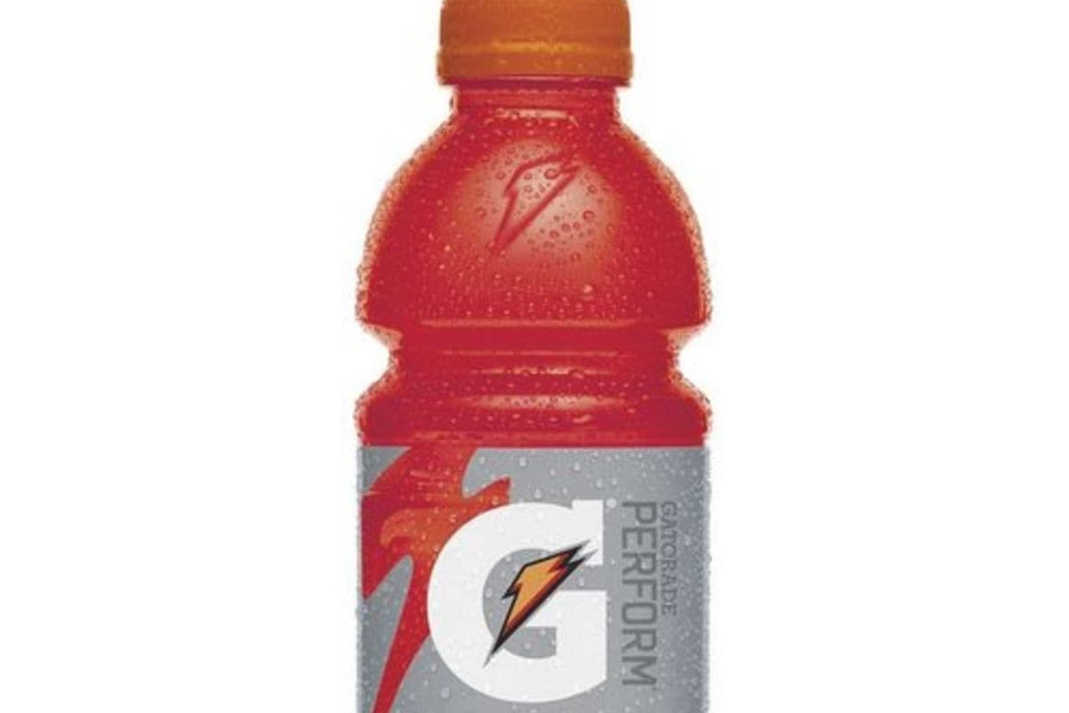 Gatorade Fruit Punch (591 ml)