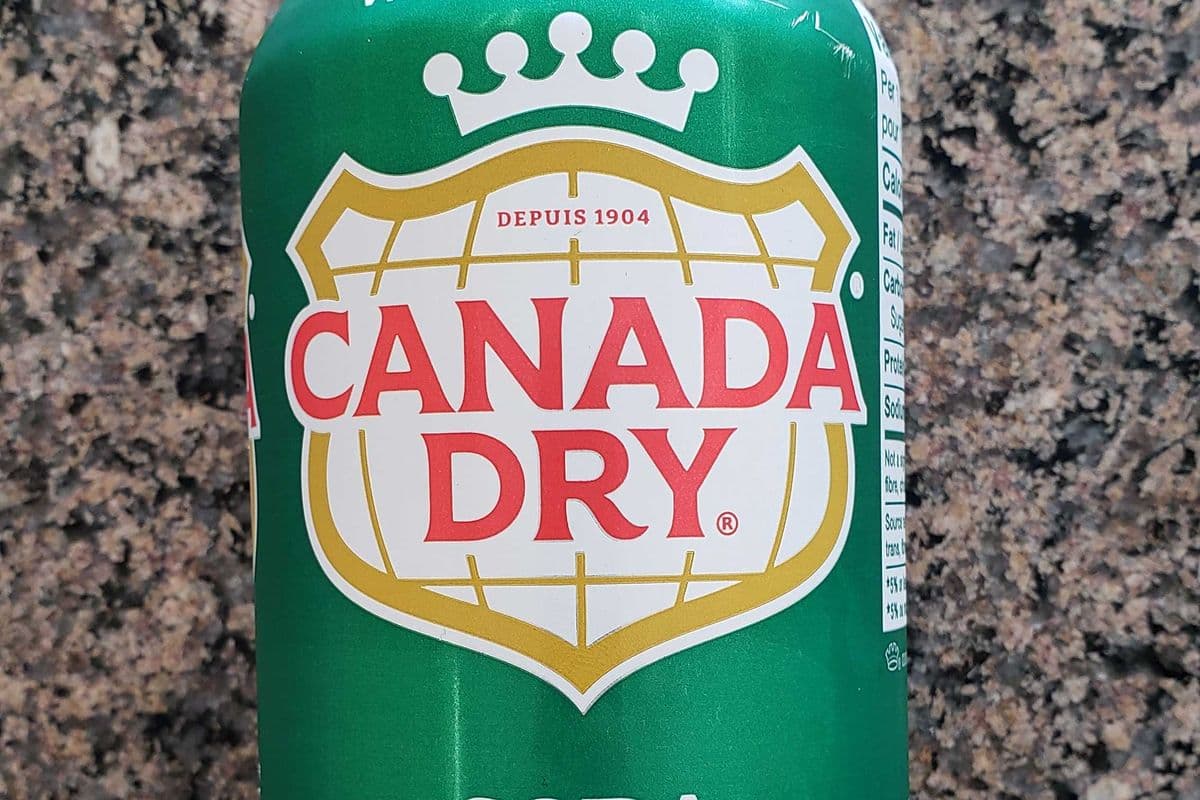 Ginger ale (355ml)