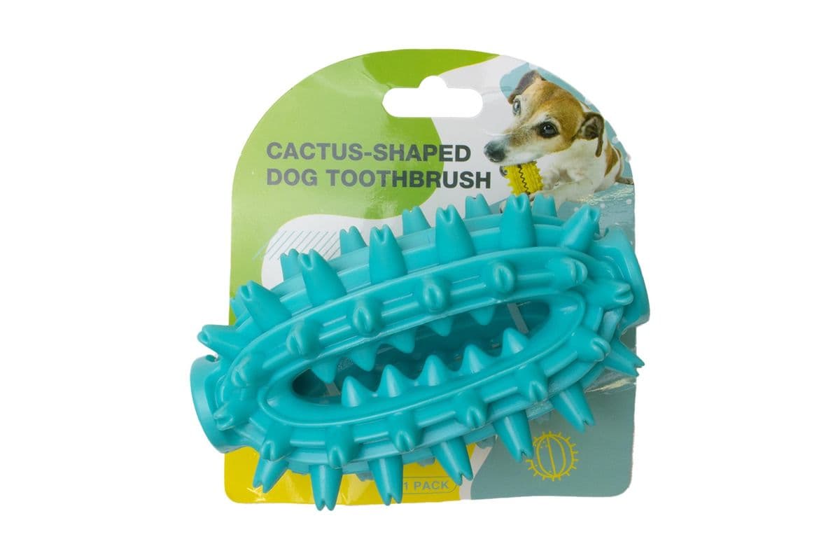 Pampered Pal Dog Toy Dental Cactus Blue