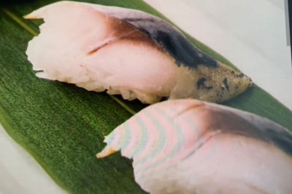 77. Mackerel