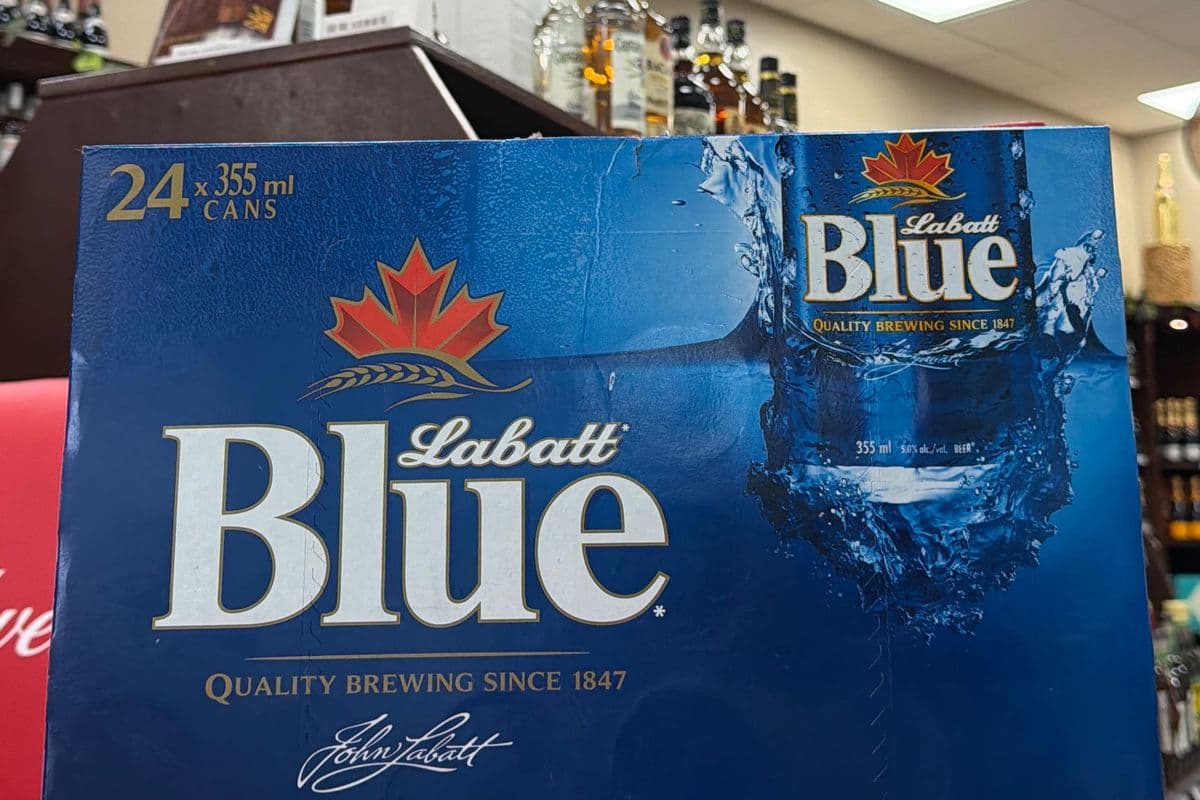 Labatt Blue 24 cans (24 x 355 ml cans)