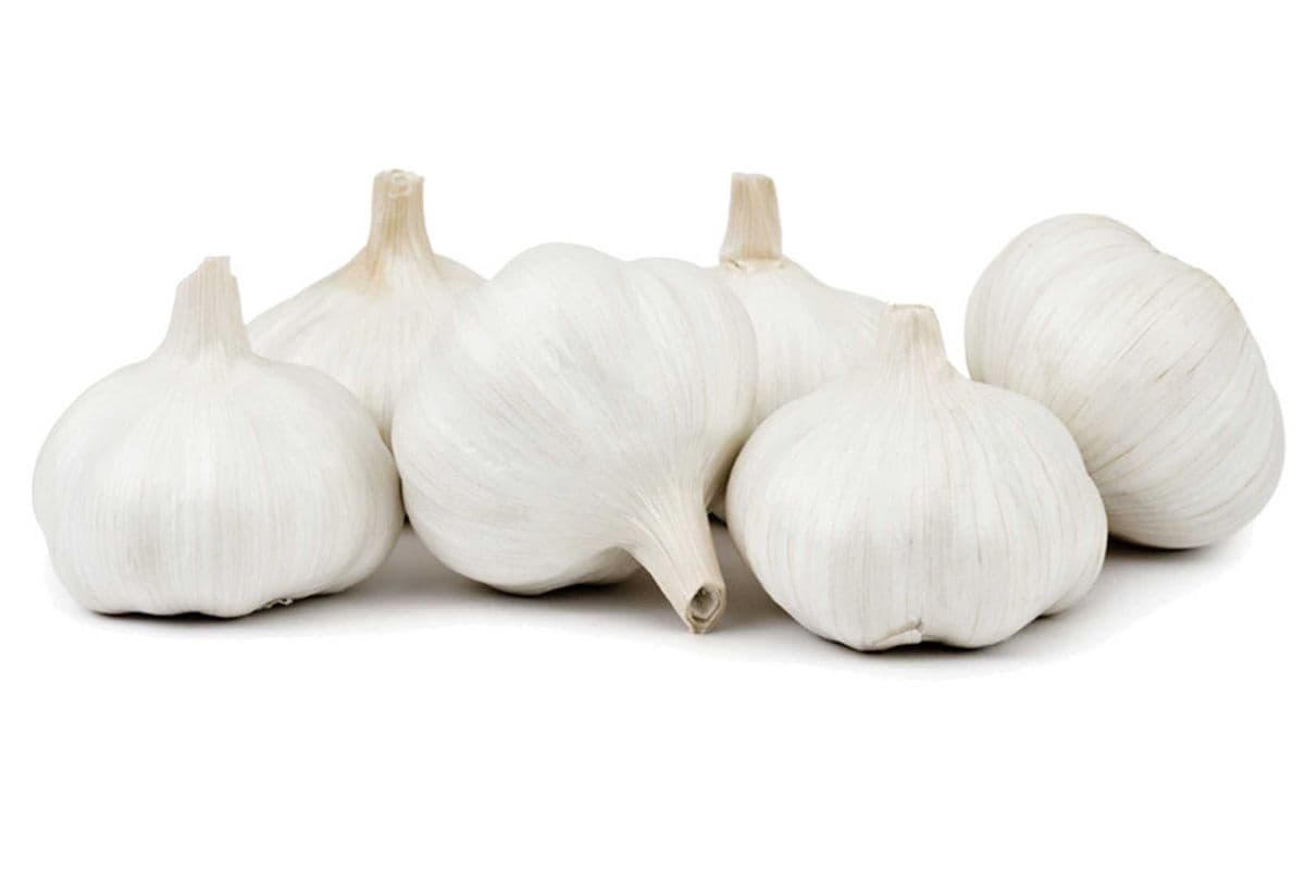 Garlic 3pcs Bag (Per each)