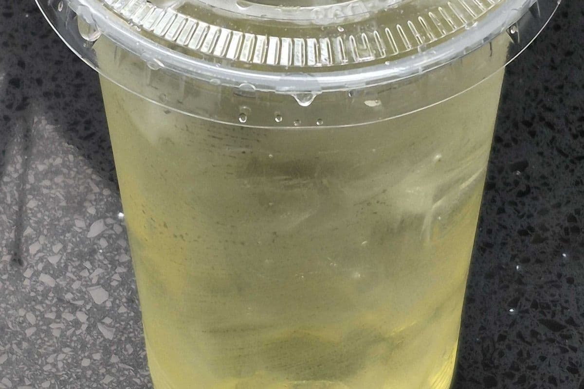 Mango Soda (Small)