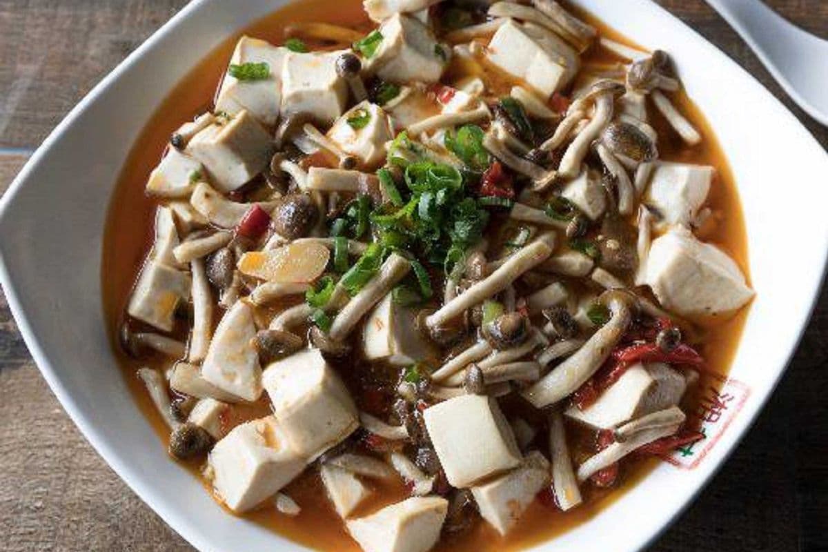 Braised Tofu with Fresh Mushrooms 野山菌烩豆腐