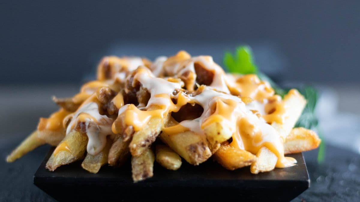 Saltyz Fries