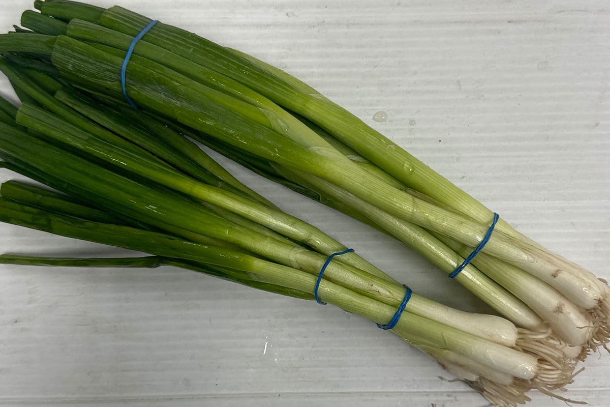 Green Onions (each)