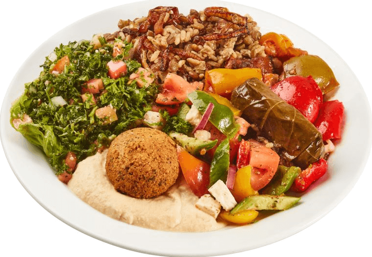Assiette Basha végétarien (5 choix) / Vegetarian Basha plate (5 choices)