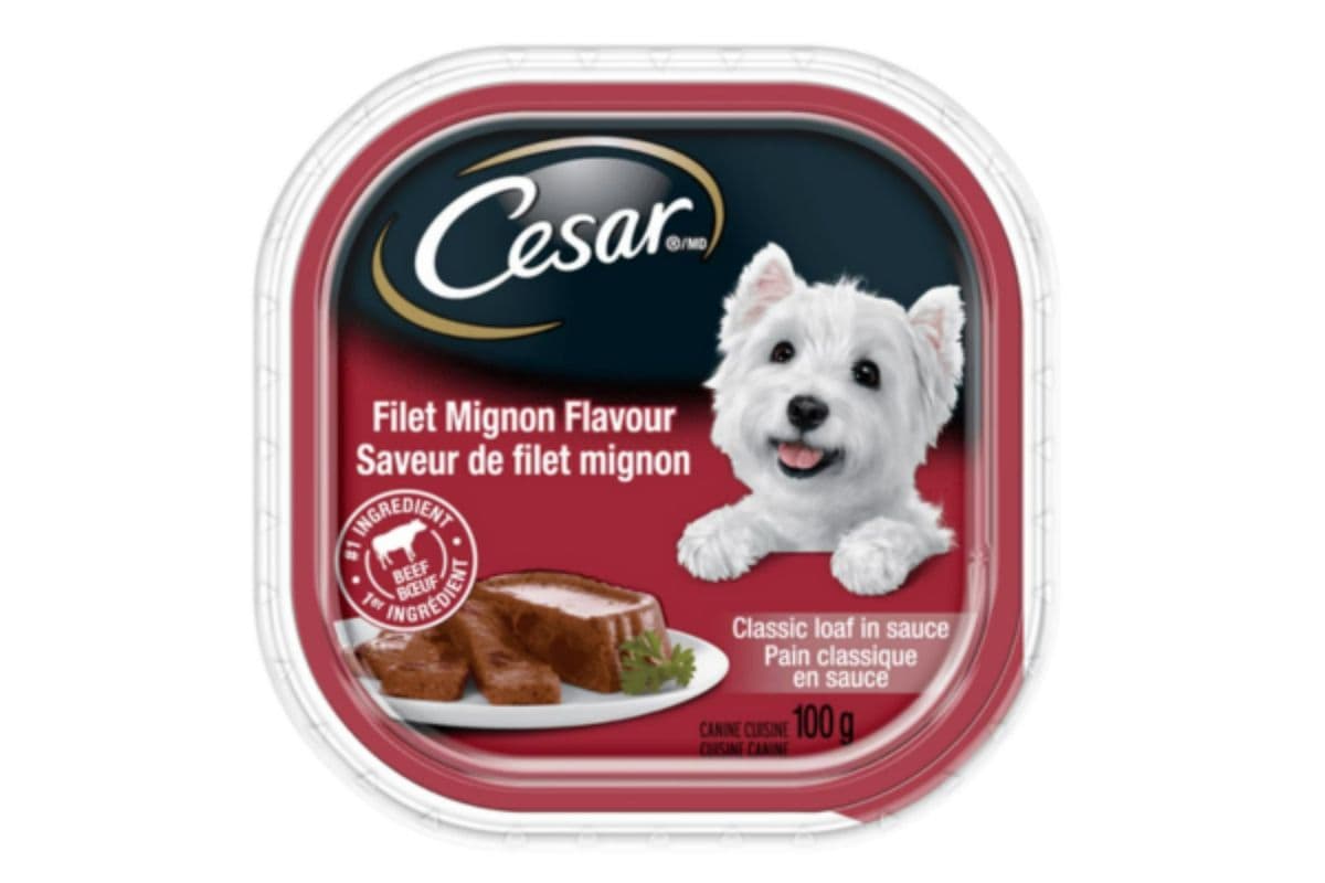 Cesar Dog Food Filet Mignon Flavour (100g)