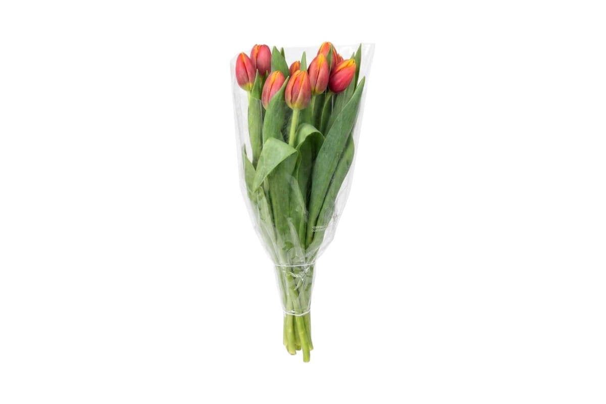 Orange With Yellow Tip Tulips - 10 Stems