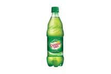 Canada Dry Soda Ginger (250 ml)
