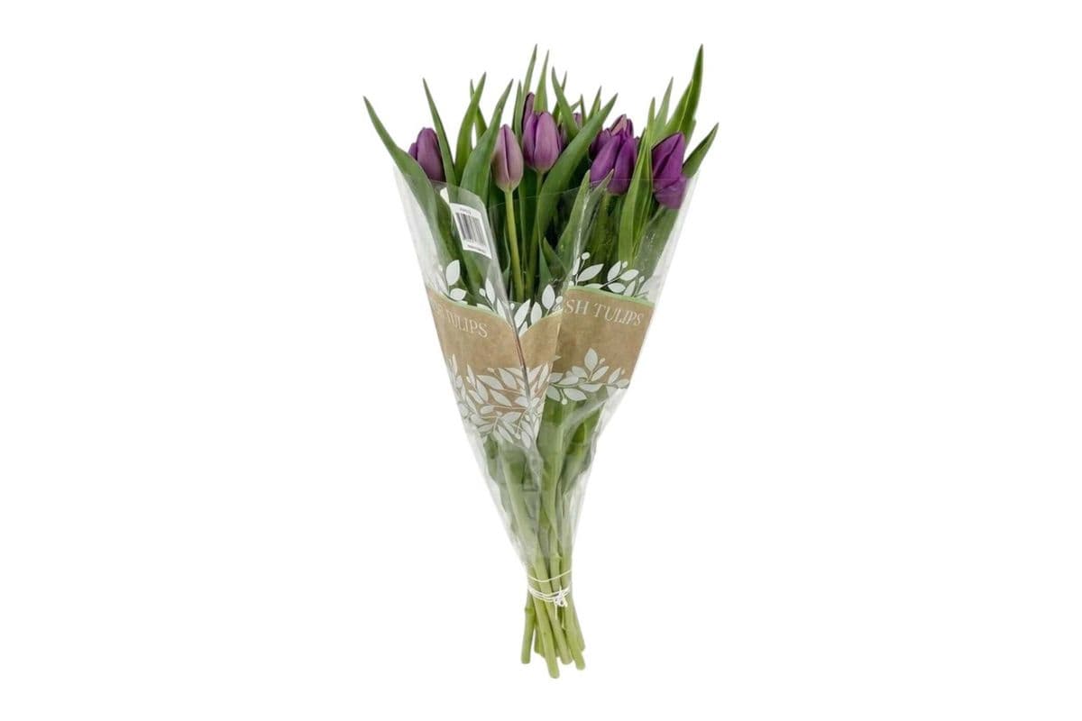 Purple Tulips - 10 Stems