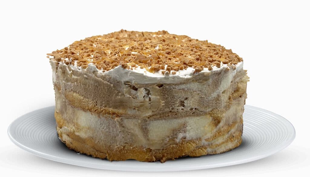 Salted Caramel Ice Cream Cake / Gâteaux à la Crème Glacée Caramel Salé
