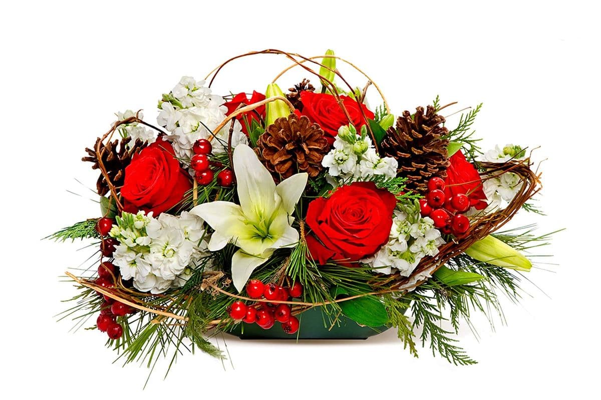 Holiday Wishes