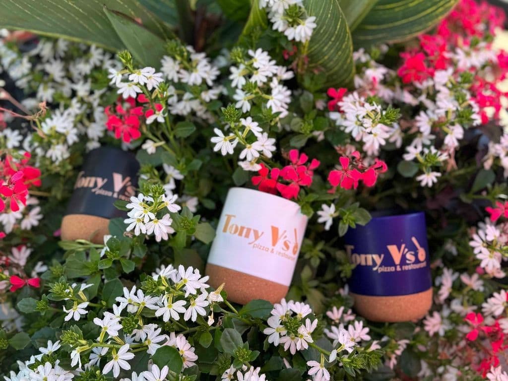 Mug (Tony Vs)